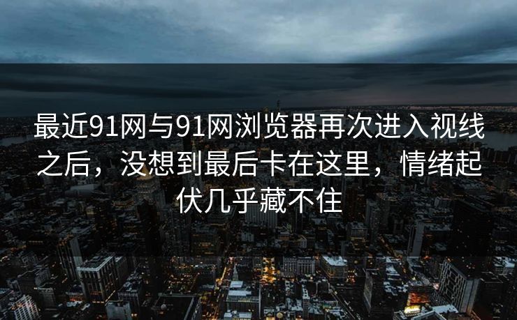 最近91网与91网浏览器再次进入视线之后，没想到最后卡在这里，情绪起伏几乎藏不住