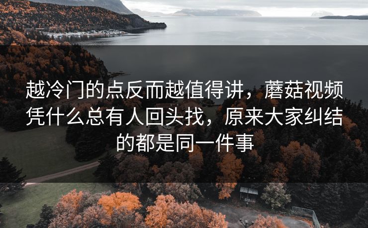 越冷门的点反而越值得讲，蘑菇视频凭什么总有人回头找，原来大家纠结的都是同一件事