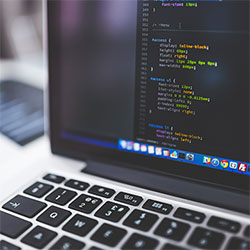 每日大赛ai不算最火，却偏偏在用户反应上最有话题