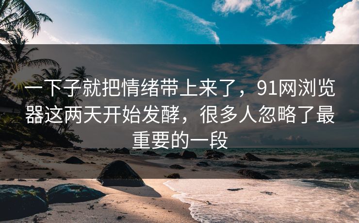 一下子就把情绪带上来了，91网浏览器这两天开始发酵，很多人忽略了最重要的一段