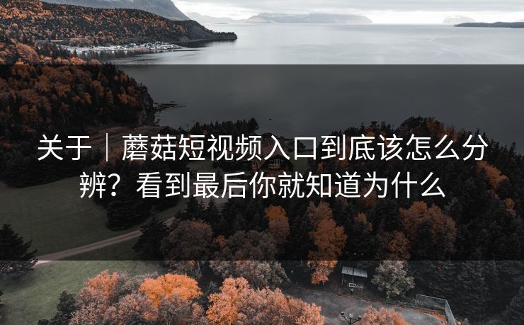 关于｜蘑菇短视频入口到底该怎么分辨？看到最后你就知道为什么