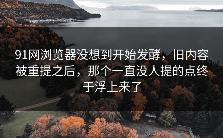 91网浏览器没想到开始发酵，旧内容被重提之后，那个一直没人提的点终于浮上来了