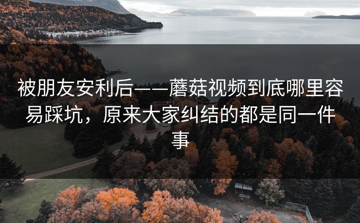 被朋友安利后——蘑菇视频到底哪里容易踩坑，原来大家纠结的都是同一件事