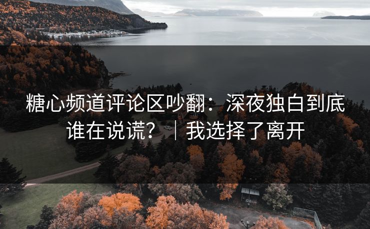 糖心频道评论区吵翻：深夜独白到底谁在说谎？｜我选择了离开