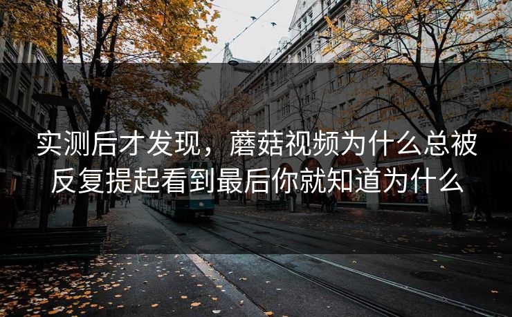 实测后才发现，蘑菇视频为什么总被反复提起看到最后你就知道为什么