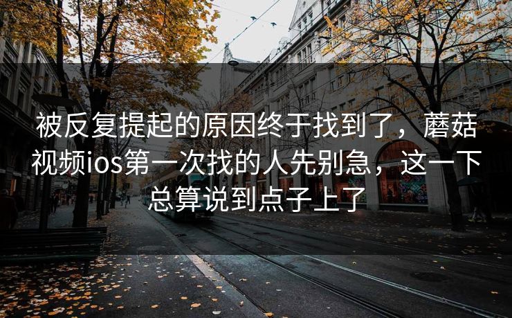 被反复提起的原因终于找到了，蘑菇视频ios第一次找的人先别急，这一下总算说到点子上了