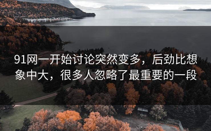 91网一开始讨论突然变多，后劲比想象中大，很多人忽略了最重要的一段