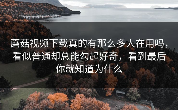 蘑菇视频下载真的有那么多人在用吗，看似普通却总能勾起好奇，看到最后你就知道为什么